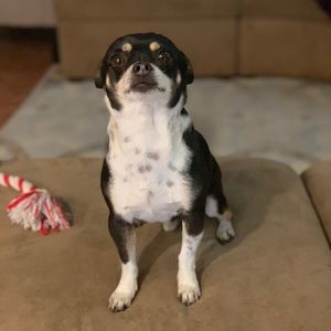 Meet your Posher, Wendy